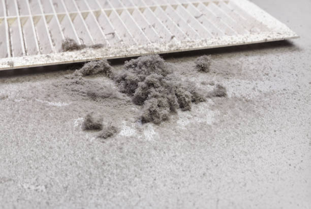 Best Air Duct Cleaning Near Me  in Halls, TN