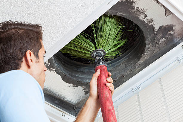 Air Duct Mold Removal in Halls, TN