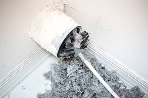Best HVAC System Cleaning  in Halls, TN